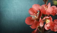 性情极端偏激，不能心平气和的生肖男