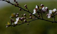 10月底财运天降，聚财一流，数钱到手软，横财不断来的四属相