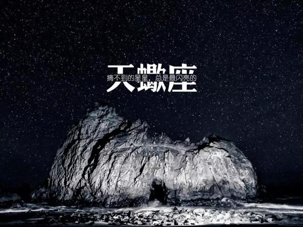 【即将进入天蝎月】十二星座行事指南