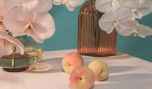 “大运”不好，中适合上班求财的生肖人