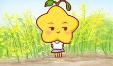 颜值藏不住 从小就可能当明星的四大星座