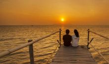 生肖牛者的爱情运势如何 性格导致爱情运势坎坷