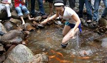 梦见抓鱼会有财运降临，男性事业会有小高峰