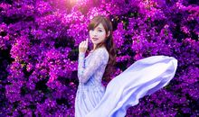 条理清晰 这四大星座吵架就没输过