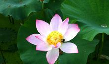 最“抠门”的三生肖女，自己舍不得吃舍不得喝，却对家人很大方