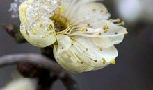 10月底大喜进门，钞票无穷，生活特别甜的3生肖