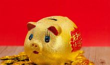 属猪几月出生财运好 六个富贵月