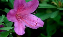 熬过10月，苦日子结束，3生肖大财小财滚滚来，生活富足！