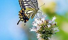 进入十月下旬，4属相财神常伴左右，财运一发不可收，财库丰隆