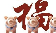 2019年属猪是什么五行 已亥年出生的五行为土