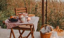 努力拼搏，对自己要求很高的星座