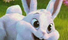 不同年份属兔人2019运势解读 1987年属兔人结婚添丁的好时机