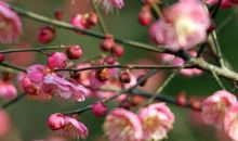 11月5号起福运不断变旺，好日子到来的生肖，能发财有福享