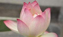 11月1号财富吉祥日，十二生肖中，3大生肖，将有财神爷关照