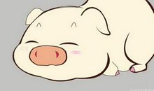 属猪人出生日的命运 属猪人哪天出生比较好