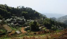 桃花运降临就不懂拒绝的生肖女