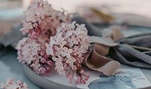 傻白甜？对人没有防备的血型！