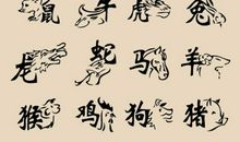 最佳生肖配对，12生肖最佳结婚年龄是多少岁（生肖牛23岁）