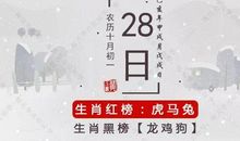 10月28日生肖运势 | 生肖狗财运不稳！