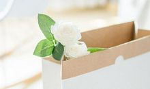 12星座男为何不主动表白？