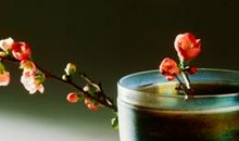 一杯水的风水作用