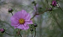 1964年生人运程如何(图文)