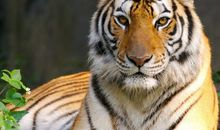 1986年出生是什么命