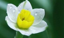 这些生肖始终都忘不了前任