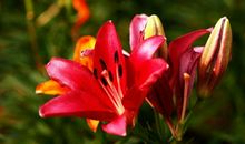 恭喜四生肖平安多福，10月25号开始能够出人头地，事业平步青云!