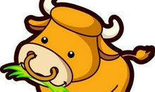 85年属什么生肖