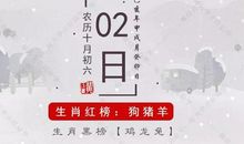 11月2日生肖运势 | 生肖狗、猪、羊大吉大利~