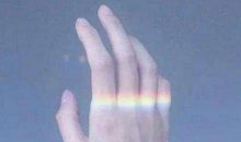 4只手，猜猜哪只是男人的？一眼看出你的智商高不高