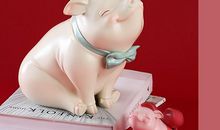 属猪2020年多大了 详解肖猪具体年龄