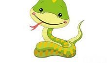 属蛇的今年多大，1989年出生属蛇的人都快29岁了