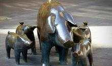 属猪人优缺点全析 生肖性格详解