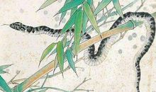 孩子是这三大生肖，从不让父母操心，晚年能让父母很享福