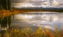 未来90天，运气上佳的3生肖，出门走好运，不为财而烦恼