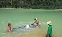 工钱从不给妻子，喜欢自己打理的生肖男