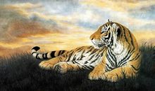 这三个生肖的人，婚姻很完美，事业很成功！