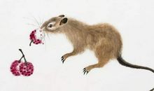 最喜欢喊穷的三大生肖，其实比谁都富有！