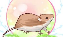 十二生肖中这6生肖当妈妈是一种什么样的体验，看看准不准确