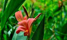 未来三个月最有财运，带旺偏财运，横财不断，钱财入口袋的四属相