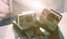 看似大大咧咧，实则跟你一样恋家的生肖