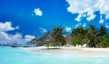 生肖狗在2019年的天乙贵人在哪？天乙贵人怎么看？(图文)