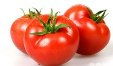 梦见西红柿心情会受到影响，而且和恋人关系会因此而破裂