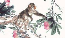 1944年属猴的人2020年运势及运程大全解析(图文)