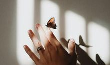 熊神进一周生肖运势（10.28-11.3）