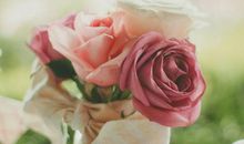 乐意单身，不怕没有人爱的四个星座