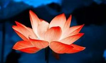 8月28号开始财路大开好运来，四生肖金玉满堂，横财大奖如雨!