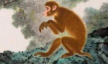 好命的三个生肖女，一生有福果，福旺后代，活得更年轻